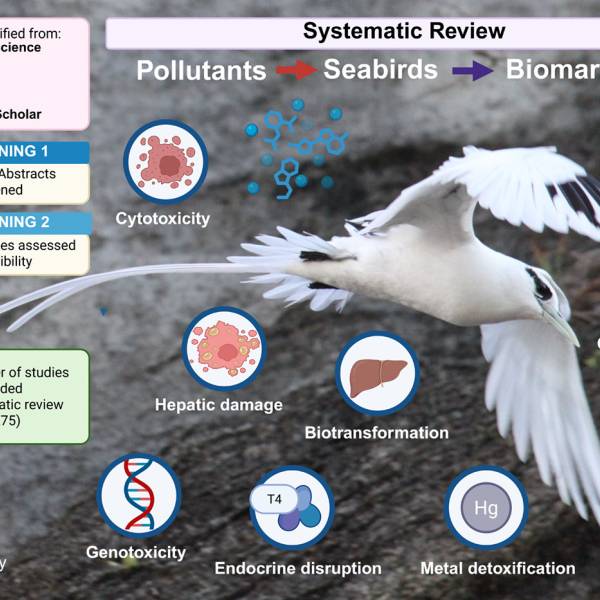 A systematic review of contamination biomarkers in seabirds gets published