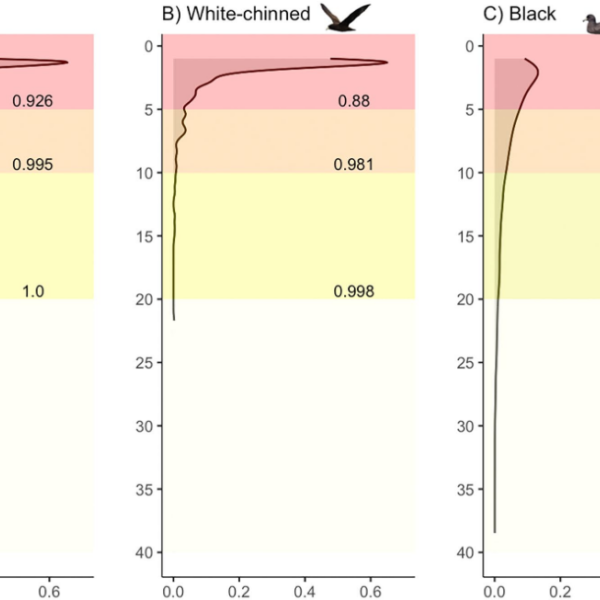 Diving ecology of three ACAP-listed Procellaria petrels puts them at risk without best-practice mitigation