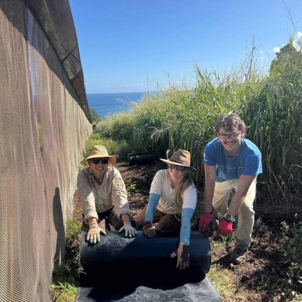 Predator-proof fence matting in the Kīlauea Point National Wildlife Refuge is in line with World Albatross Day’s 2026 theme of “Habitat Restoration”