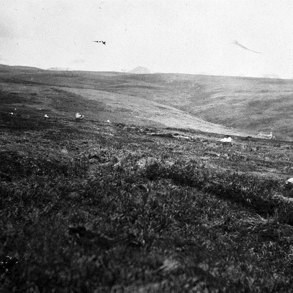 THE ACAP MONTHLY MISSIVE: A portfolio of early Wanderers