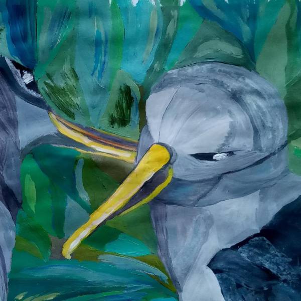 Recent seabird surveys in the Chatham Islands