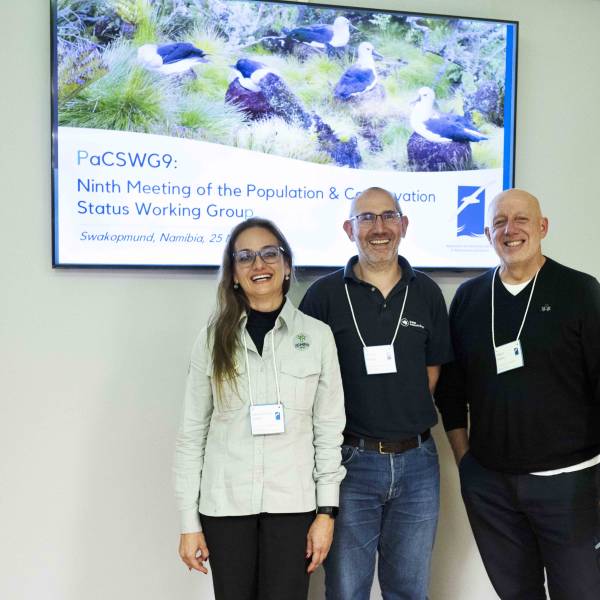 ACAP’s 15th Meeting of its Advisory Committee hears Working Group reports on Day Two