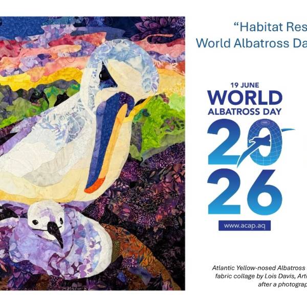 Day Three of ‘WADWEEK2026’.  ACAP releases five artwork posters to celebrate World Albatross Day