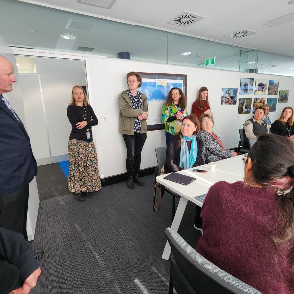 This year the Australian Antarctic Division celebrated World Albatross Day by watching a video on the successful Macquarie Island Pest Eradication Program
