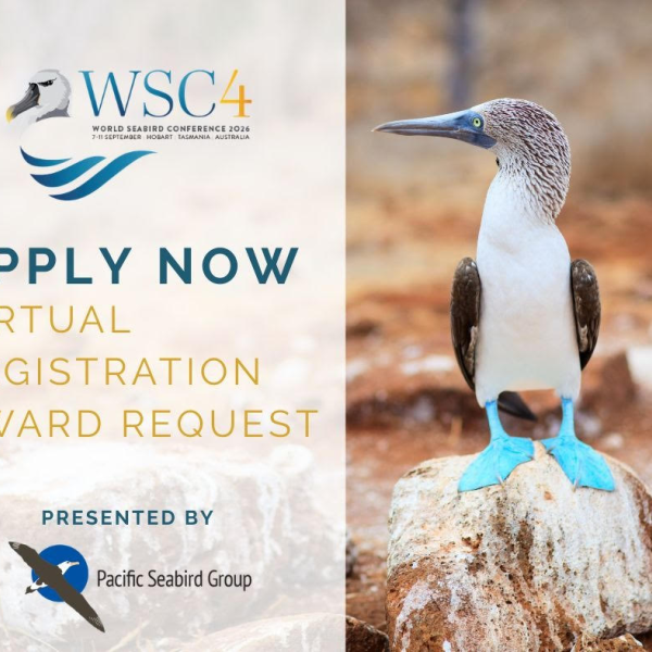 Apply for free virtual registration for the 4th World Seabird Conference, September 2026