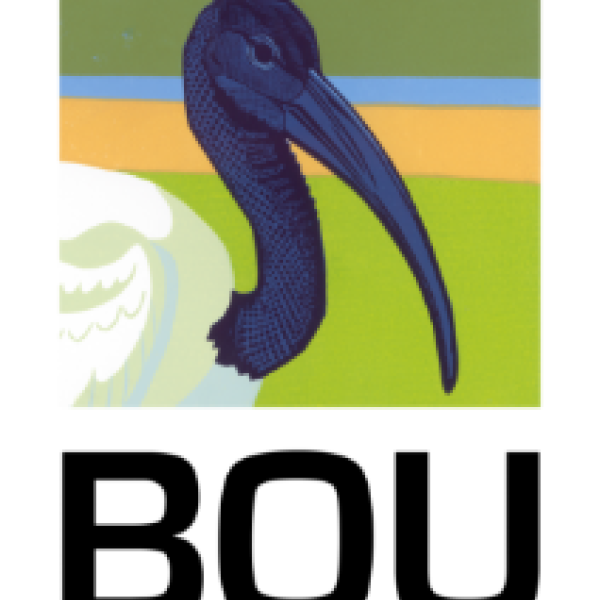 Funding call opens for the BOU Small Ornithological Research Grants and Career Development Bursaries