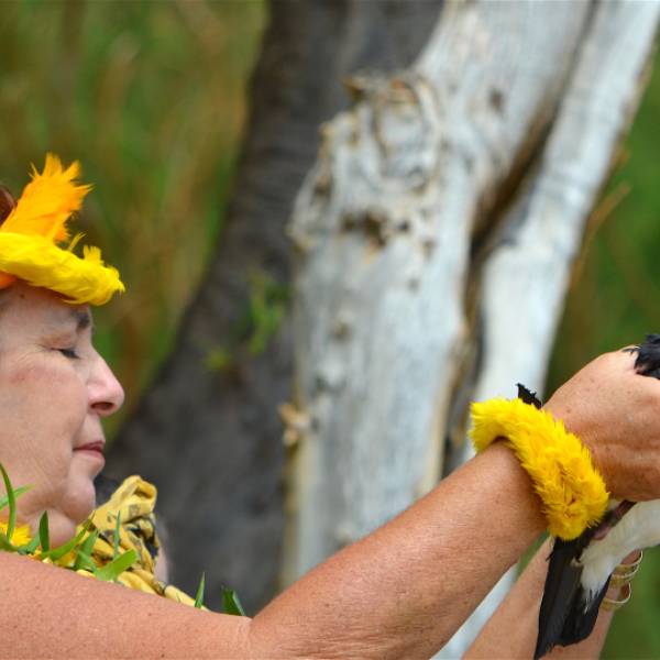 Forty years of conserving seabirds in and around the Pacific Ocean