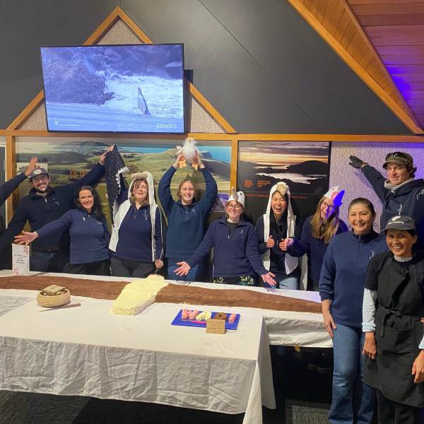The Royal Albatross Centre celebrates World Albatross Day with another life-sized “albicake” and naming of the Royal Cam chick