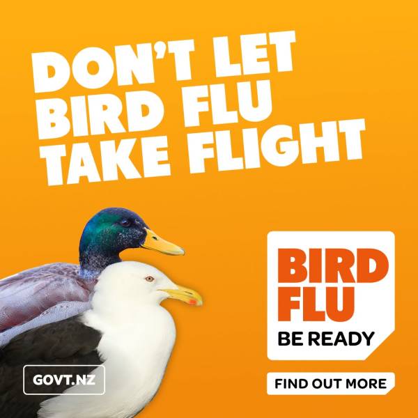 Inexorable spread?  Highly Pathogenic Avian Influenza confirmed in New Zealand today
