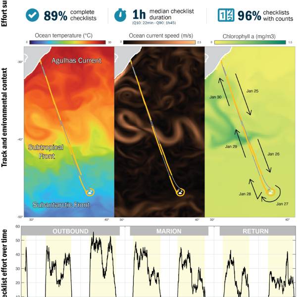 eBird checklists from citizen scientists used to study seabird distribution in the Southern Ocean