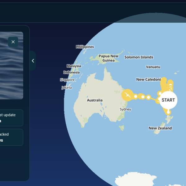 Starting off on the wrong wing: a Black Petrel goes west