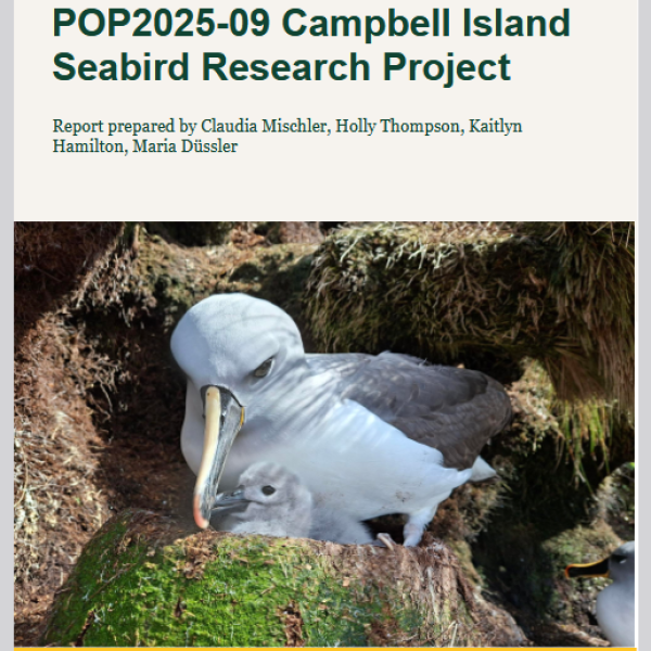 Field research on ACAP-listed albatrosses and petrels on Campbell Island during summer 2025/26