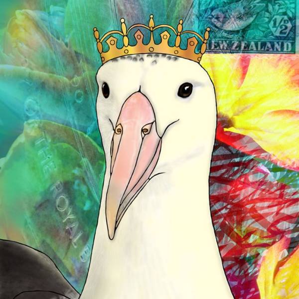 BOTY2026-NZ voting starts today: please help crown the Northern Royal Albatross!