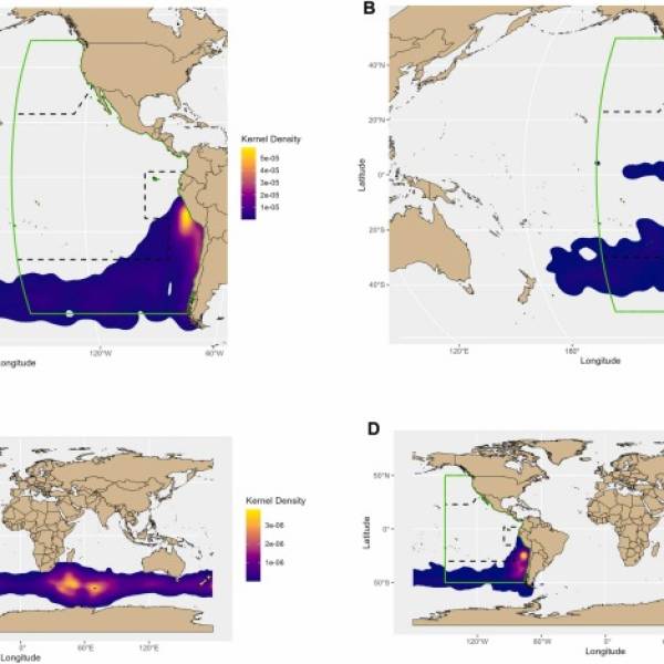 Albatross and petrel overlap with IATTC pelagic longline fisheries determined by tracking 
