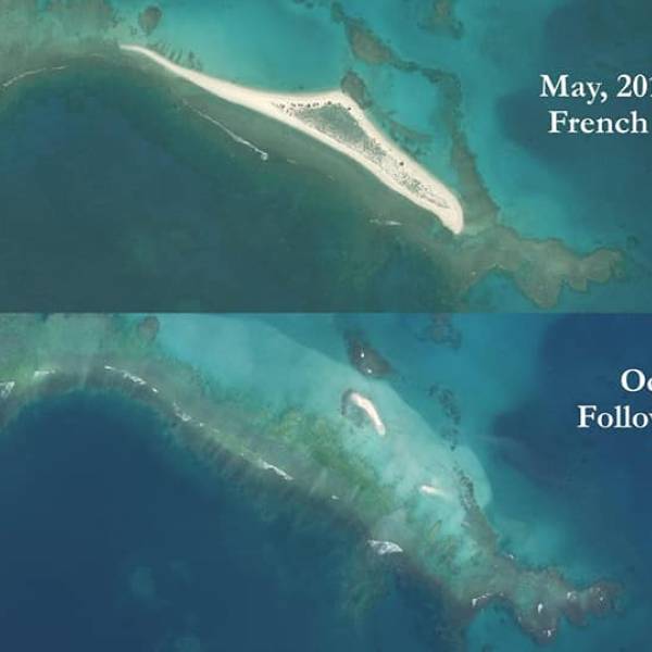 Blown away.  Hurricane Walaka, East Island and its lost albatrosses as a case history