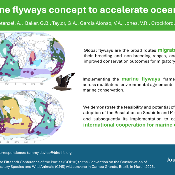 Using the marine flyways concept to accelerate ocean conservation