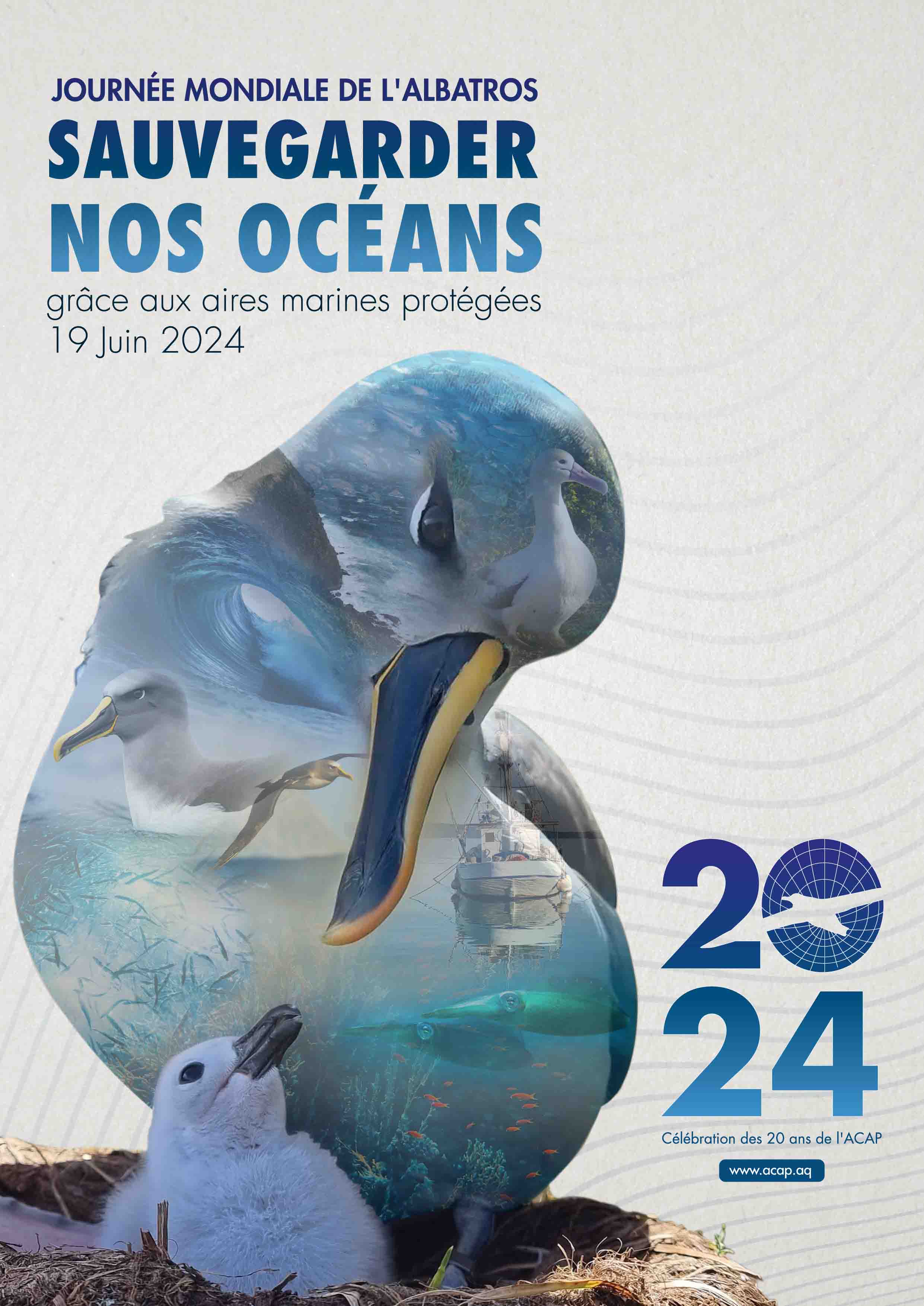 World Albatross Day 2024 Poster - French