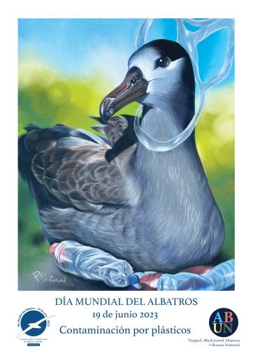 Black-footed Albatross: "Trapped" by Rosana Venturini - Spanish