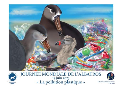 Black-footed Albatrosses: "Plastic Lament" by Patricia Latas - French