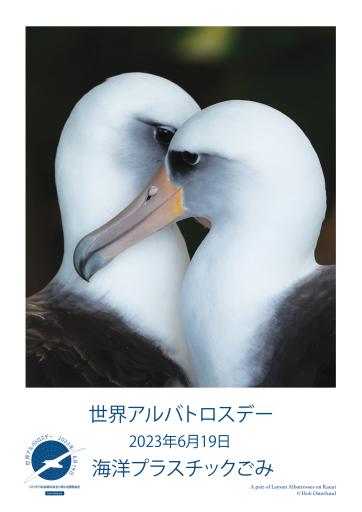 A Pair of Laysan Albatrosses on Kauai by Hob Osterlund - Japanese