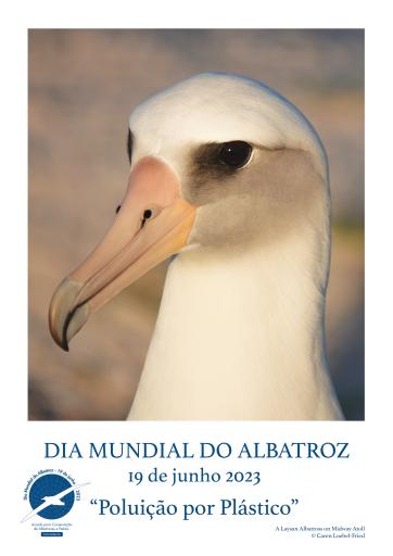 A Laysan Albatross on Midway Atoll by Caren Loebel-Fried - Portuguese