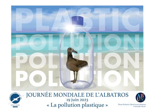 Black-footed Albatross: "Plastic Pollution" by Grisselle Chock - French
