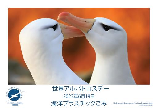 Black-browed Albatrosses by Georgina Strange - Japanese