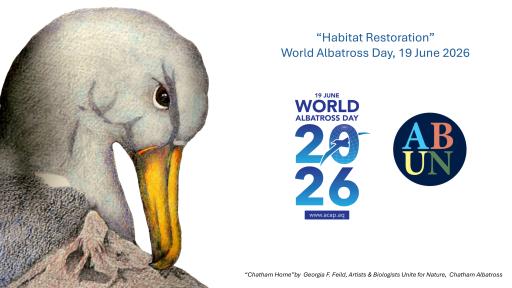 WAD2026 Poster Chatham Albatross Georgia F Feild